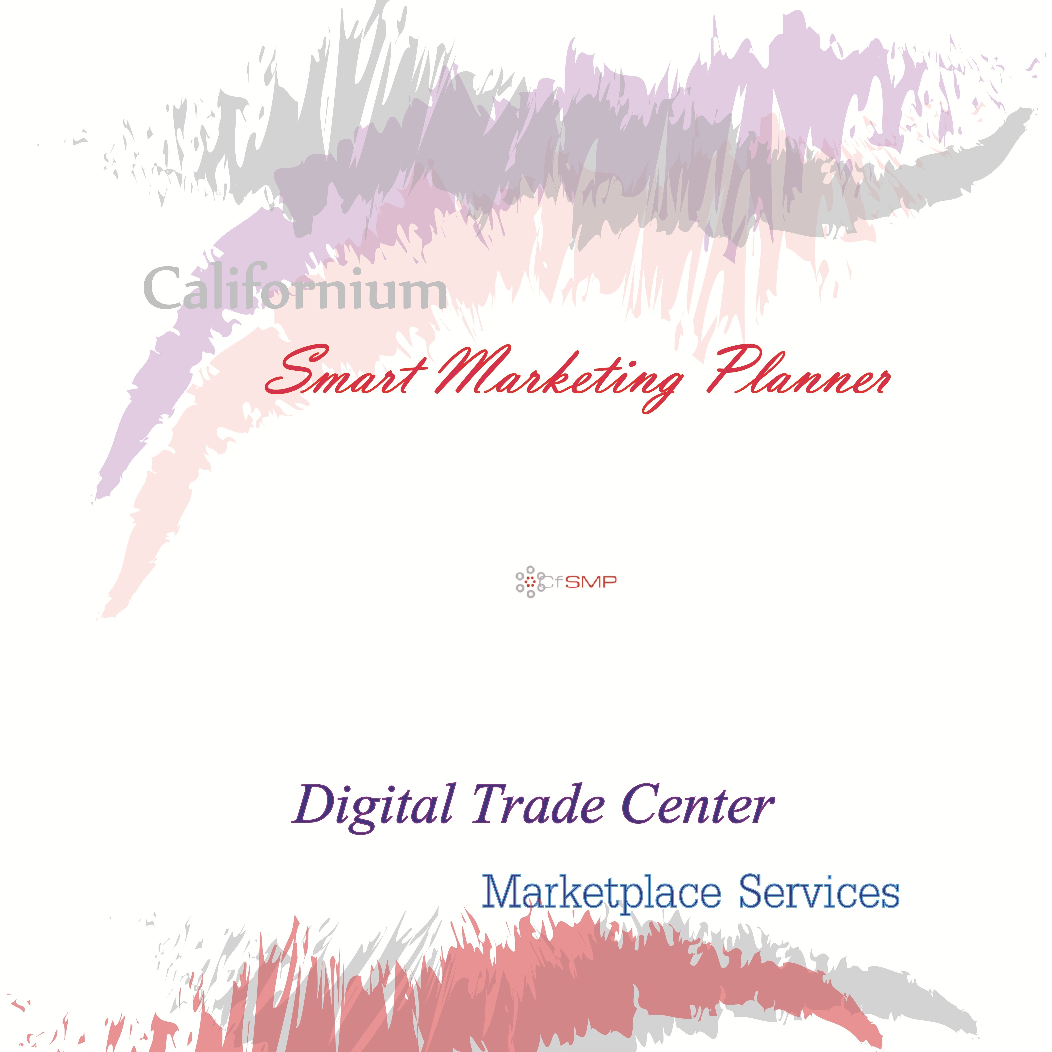  بازار مرکز تجارت دیجیتال(Digital Trade Center Marketplace)